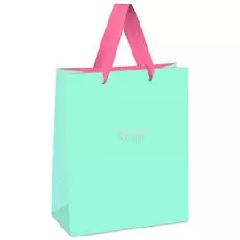 Пакет подарочный MESHU "Bright turquoise" 11*14*6,5см