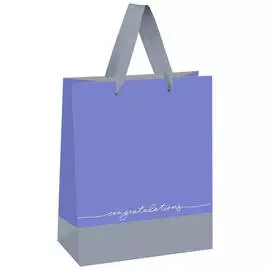 Пакет подарочный MESHU "Duotone. Gray-lavender" 18*23*10 см