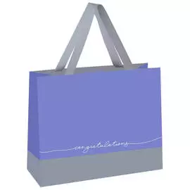 Пакет подарочный MESHU "Duotone. Gray-lavender" 23*18*10 см