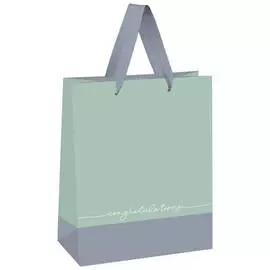 Пакет подарочный MESHU "Duotone. Gray-mint" 18*23*10 см