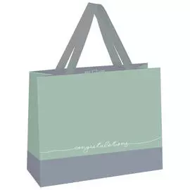 Пакет подарочный MESHU "Duotone. Gray-mint" 23*18*10 см