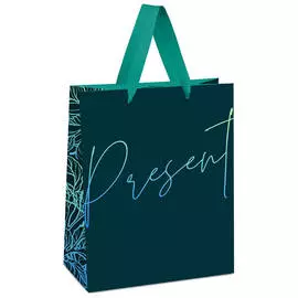 Пакет подарочный MESHU "Present" 18*23*10 см
