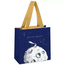 Пакет подарочный MESHU "Space" 20*20*10 см