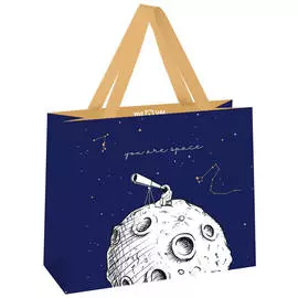 Пакет подарочный MESHU "Space" 32*26*12 см