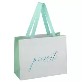 Пакет подарочный MESHU "Tender present silver" 23*18*10 см