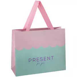 Пакет подарочный MESHU "Wave pink" 32*26*12 см