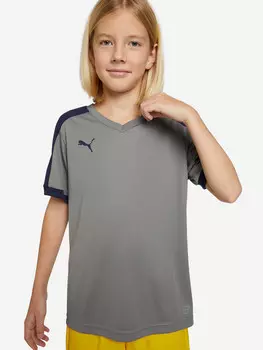 Футболка для мальчиков PUMA Pitch, Голубой