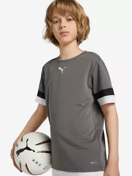 Футболка для мальчиков PUMA teamRISE Jersey, Серый, размер 141-152
