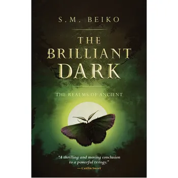 Книга The Brilliant Dark