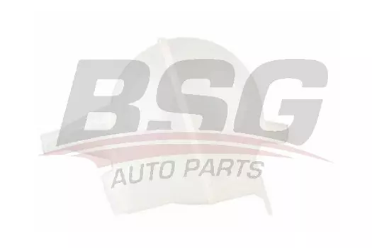 Расширительный бачок BSG BSG 30-550-019