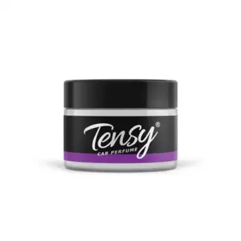 Ароматизатор автомобильный TENSY TZ06 гелевый