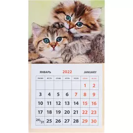 Календарь Медный Всадник На магните отрывной Кр33 2022 год