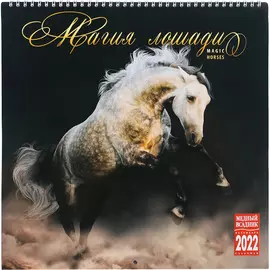 Календарь Медный Всадник На спирали Кр23 320х320 мм 2022 год в ассортименте