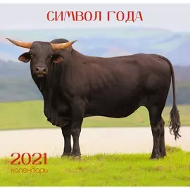 Календарь настенный перекидной Символ года ДИЗ 3 на 2021 год