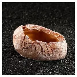 Кормушка для террариума, 12 х 8,5 х 5,5 см