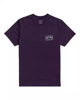 Мужская Футболка Adventure Division Arch Wave