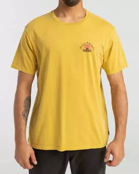Мужская Футболка Billabong PROVIDENCE SS W M TEES 0552
