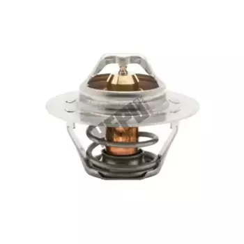 Термостат системы охлаждения HEPU TM1292