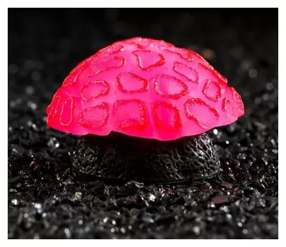 Декор для аквариума коралл Faviidae, силиконовый, розовый, 5 х 2.5 см