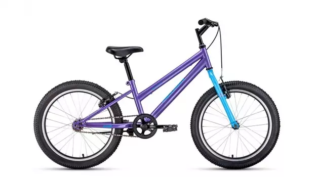ALTAIR MTB HT 20 low (рост 10.5") 2019-2020, фиолетовый/голубой, RBKT01N01004