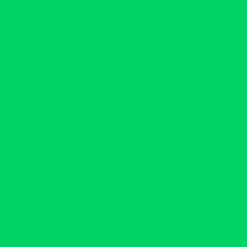 Витражная плоттерная пленка_Oracal 8300 F061 Green 1.00x50 м