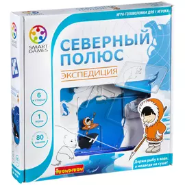 Игра логическая BONDIBON Северный полюс Экспедиция