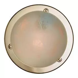 Светильник Sonex Alabastro 221