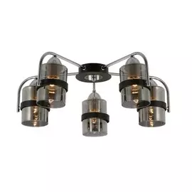 Люстра Evoluce Fiumo SLE102002-05