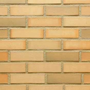 Feldhaus Klinker K253RF90, 240х90х65 мм, Кирпич клинкерный гладкий