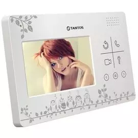 Видеодомофон Tantos LILU LE "Совы" цветной, TFT LCD 4.3" 480x272, PAL/NTSC, hands-free, возможности подключения: 4 монитора, 2 вызывные панели, адресн