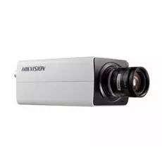 Видеокамера IP HIKVISION DS-2CD2821G0 (AC24V/DC12V)