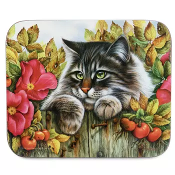 Набор подставок под посуду Jason CATS COASTERS 11,5x9,5 см, 6 шт