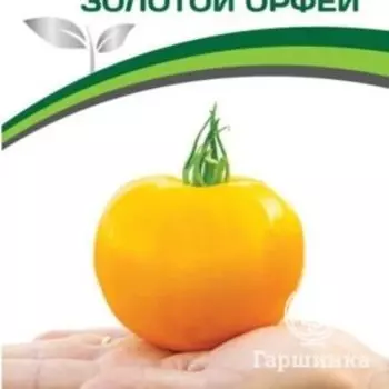 Семена Томат Золотой Орфей 0,05гр. Партнер