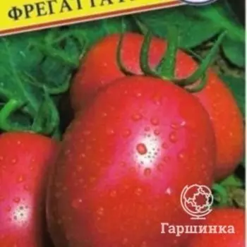 Семена томата Фрегатта F1, 5 шт, Престиж