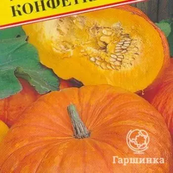 Семена Тыква "Конфетка" 5 шт, Престиж