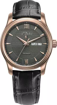 L`Duchen Tradition D 253.41.21