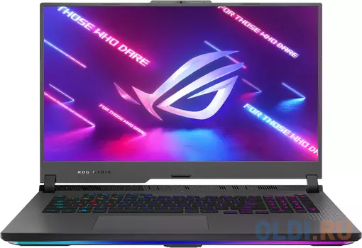 Ноутбук ASUS ROG Strix G17 G713PI-LL098W 90NR0GG4-M008C0 17.3"