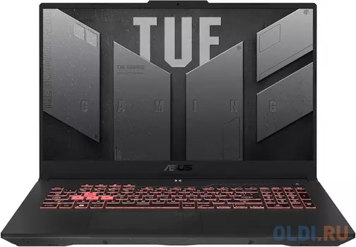 Ноутбук ASUS TUF FA707RM 90NR0972-M001N0 17.3"