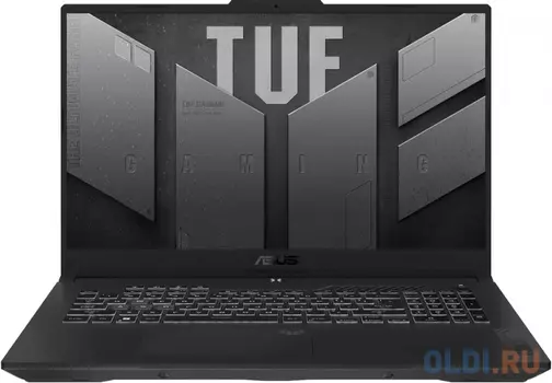 Ноутбук ASUS TUF Gaming F17 FX707ZV4-HX018W 90NR0FB5-M004S0 17.3"