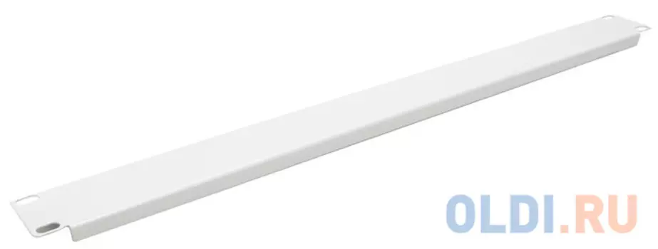 Фальшпанель - заглушка 19" 1U серая, NT FPANEL 1U G