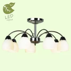 Люстра Lussole Lussole S.r.l GRLSF-2403-07