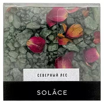 SOLACE Мерцающая соль для ванны "Северный лес" с шиммером и сухоцветами