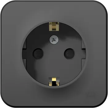 Розетка с заземлением и шторками (антрацит) Systeme Electric Blanca BLNRA011106