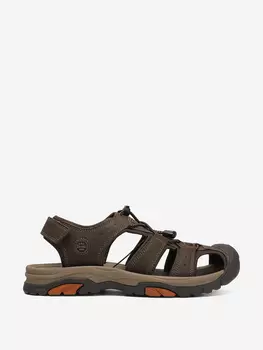 Сандалии мужские Etonic Roctock, Коричневый