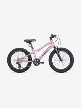 Велосипед детский Maxiscoo 5BIKE 20'' L200, розовый сапфир, 2025, Розовый