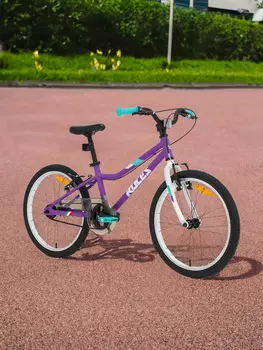 Велосипед для девочек Roces Amico 20", Фиолетовый