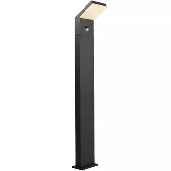 Наземный светильник светодиодный IP54 Deko-Light Tucanae 733068