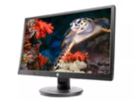 Монитор HP Inc. V214a 20.7'' черный