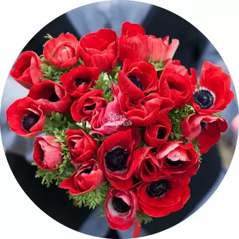 Букет «Flora Express»