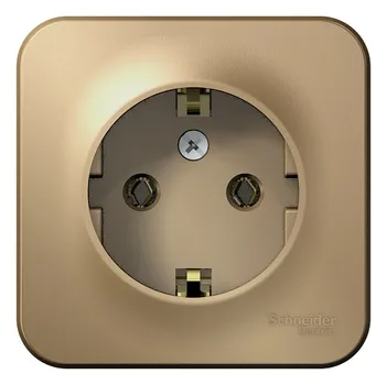 Розетка Systeme Electric BLNRA010104 с/з без шторок, 16А, 250В Титан наруж
